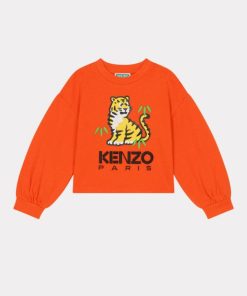 Goodnorth.shop4d24194d47 1