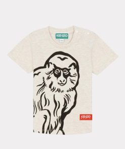 Goodnorth.shopfeefb47f6c 1